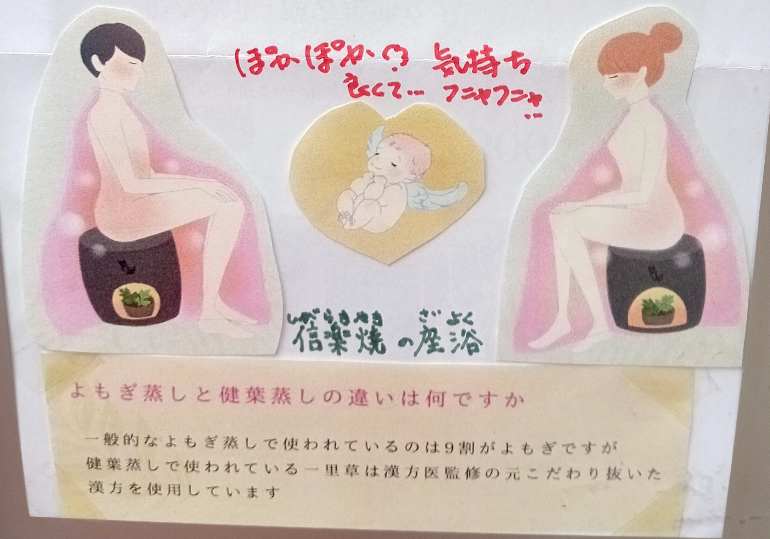 古代大和健葉蒸しとよもぎ蒸しの違い