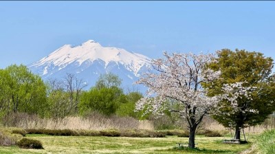 あおもり黒石ハウスから徒歩一分で行ける公園から