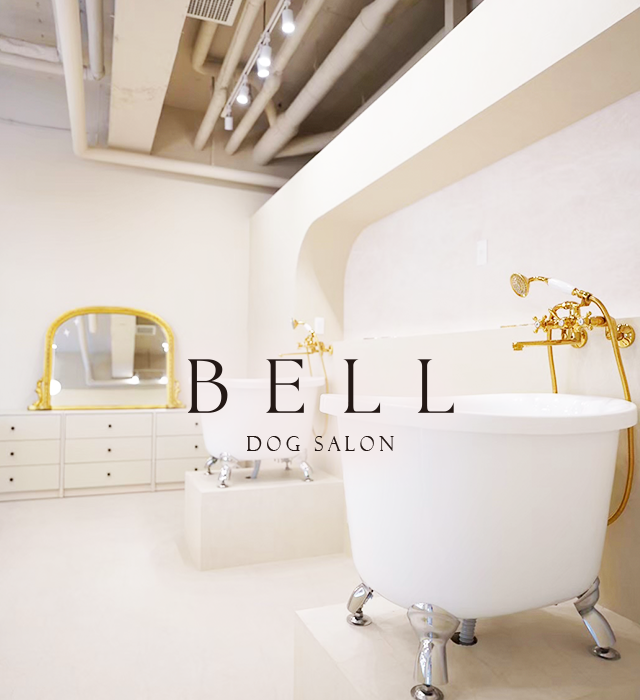 DOGSALON BELL