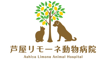 芦屋リモーネ動物病院