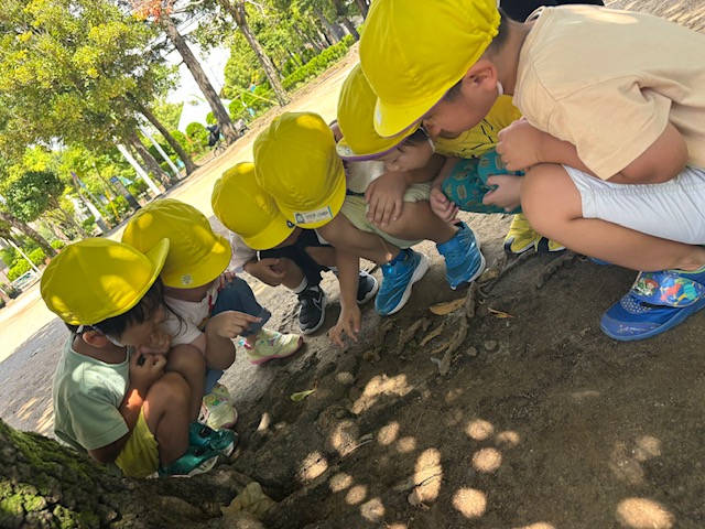中葛西幼保園