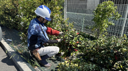 夏木造園
