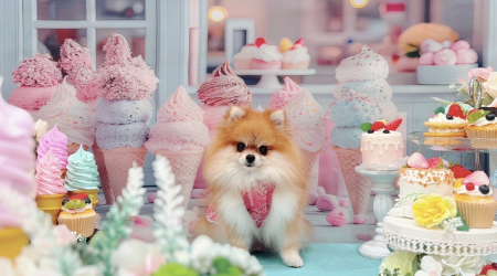 プリティー・ワン 古出来町店のメイン写真