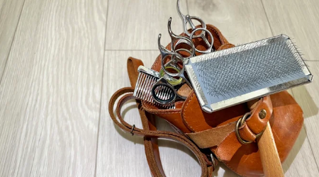 訪問トリミングもこぐるみん