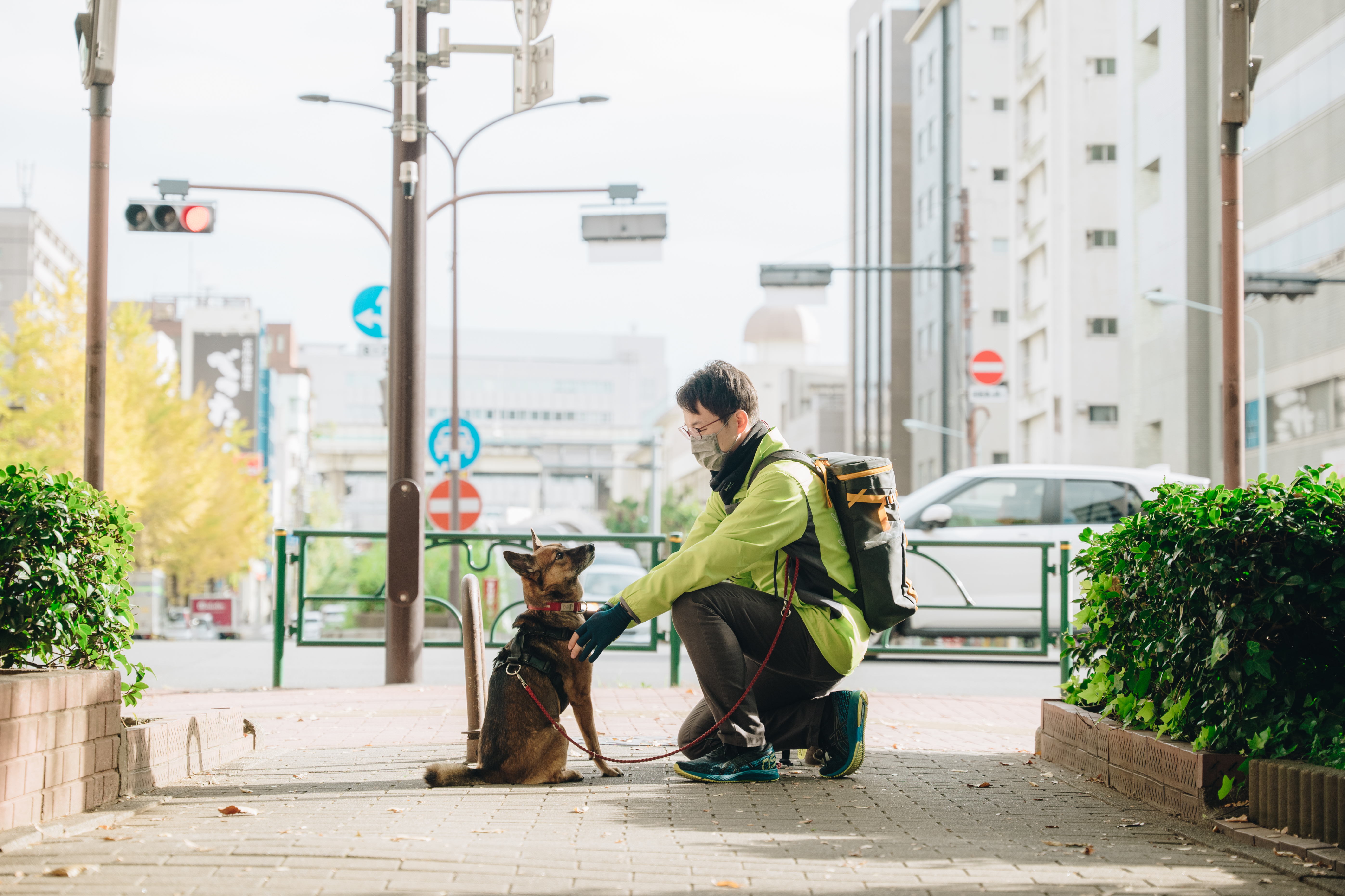 【出張しつけ専門】DOGLIFECorinth~13:13~のメイン写真