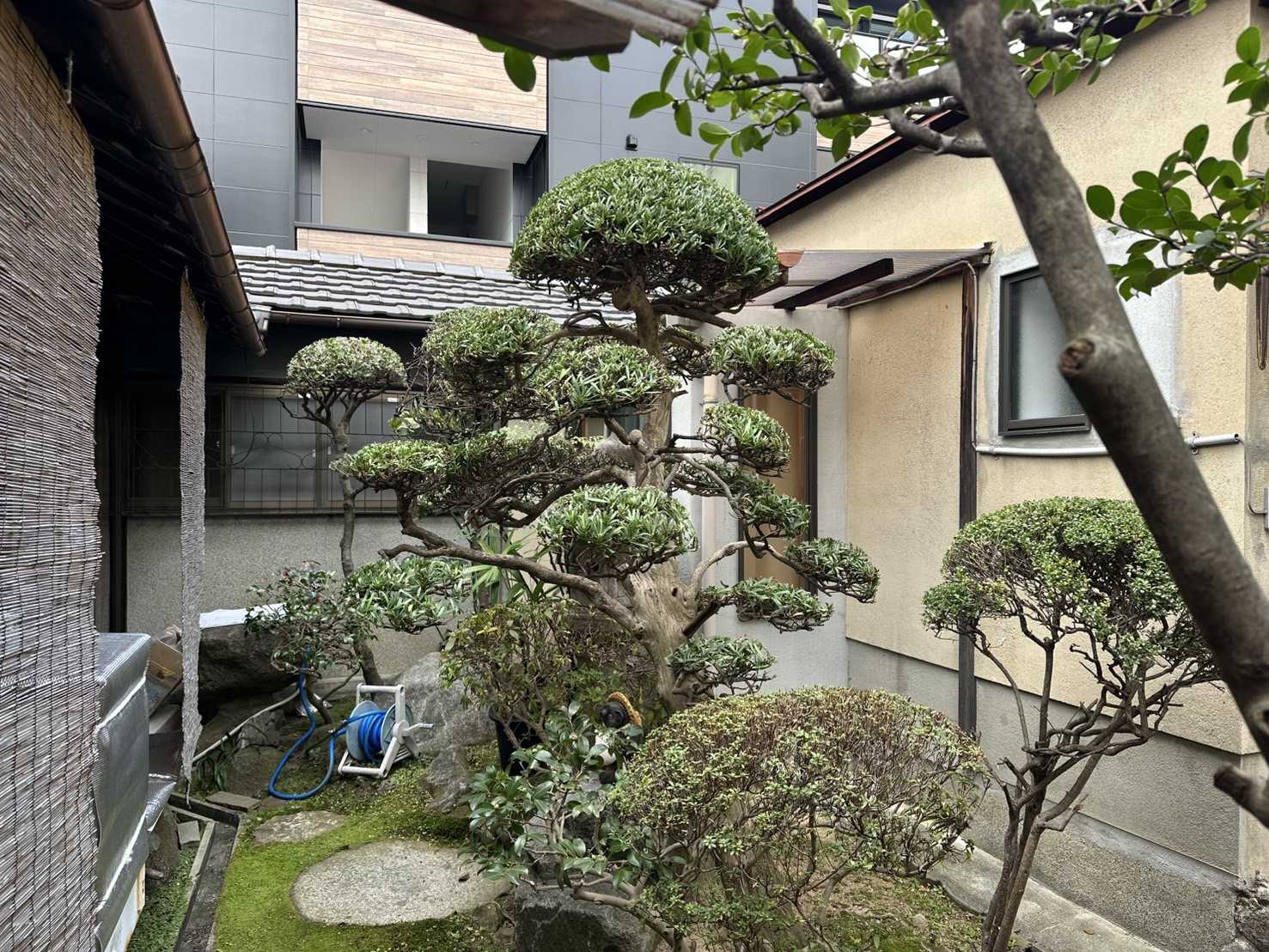 大樹苑のサブ写真1