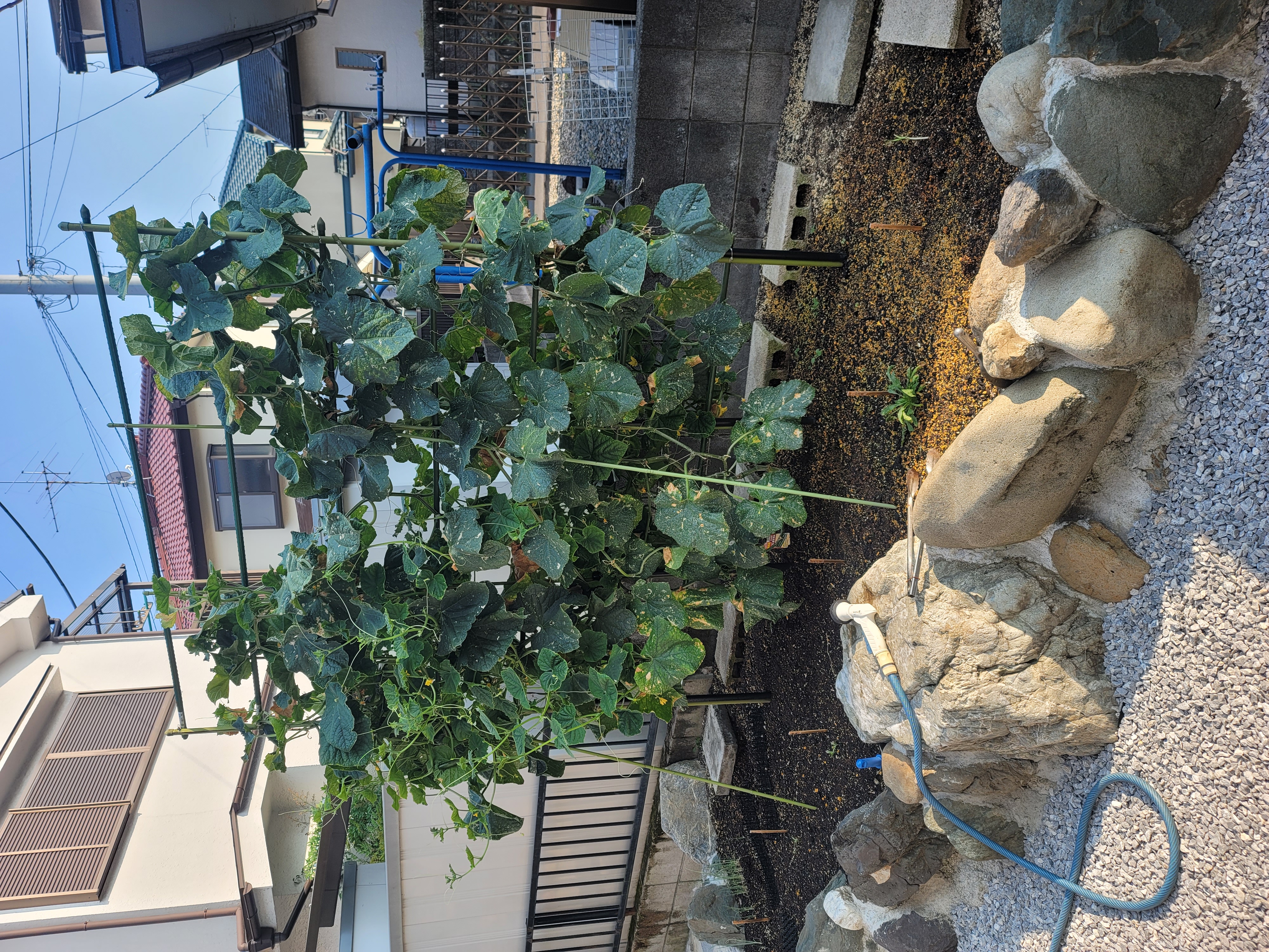 藤井けんちくんのサブ写真１