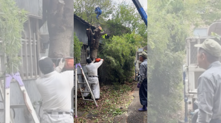 夏木造園のサブ写真１