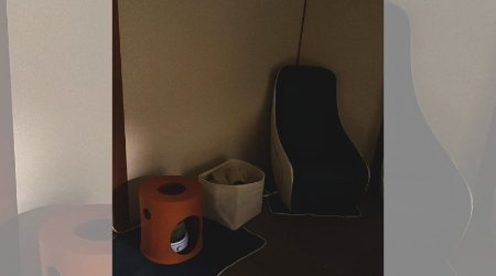 黄土漢方よもぎ蒸し@Earthのサブ写真１