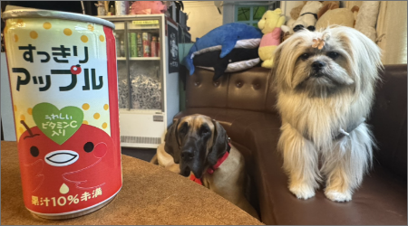 いぬごこちのサブ写真１