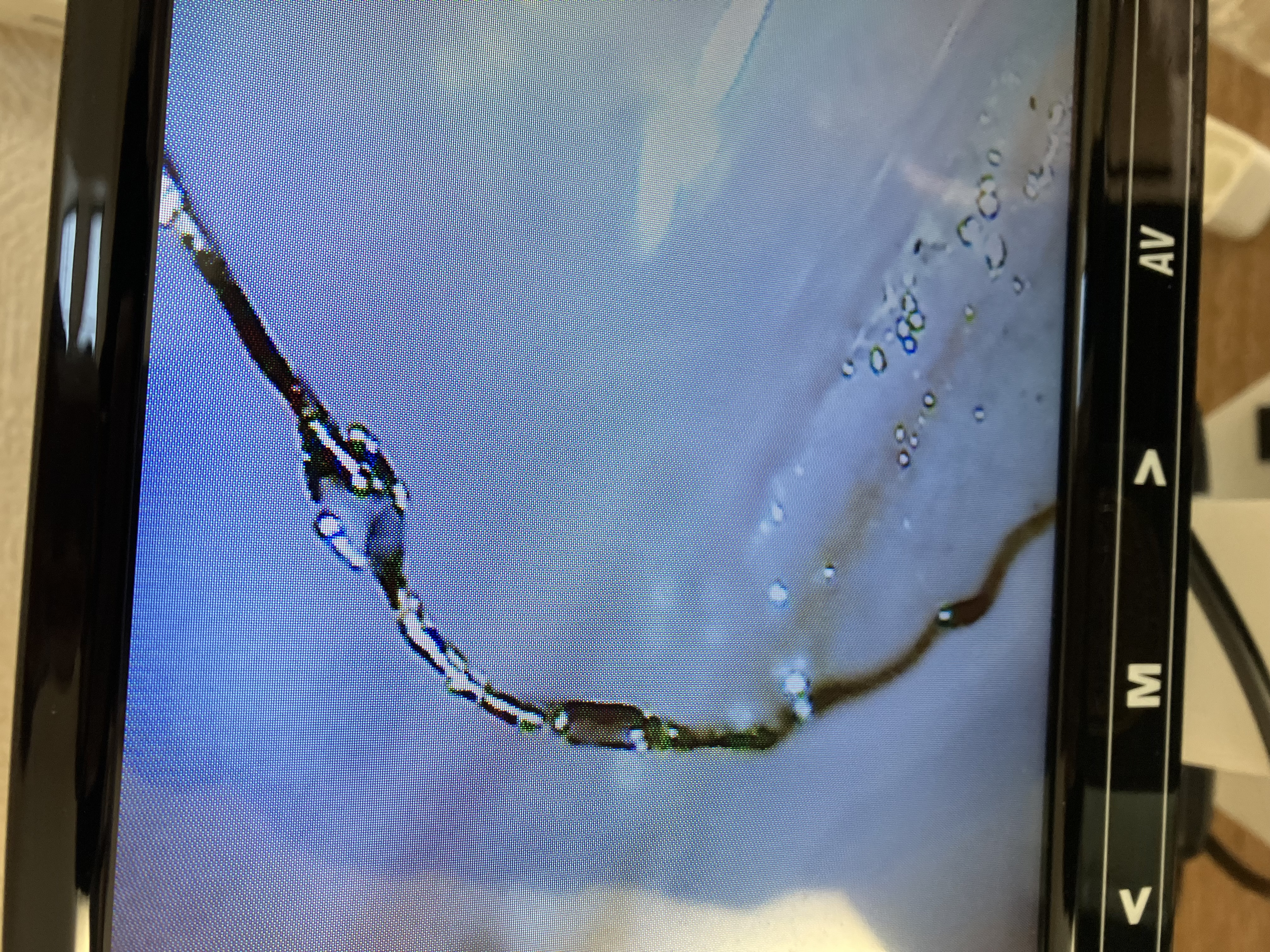 デトックスサロン福岡　春日原のサブ写真１