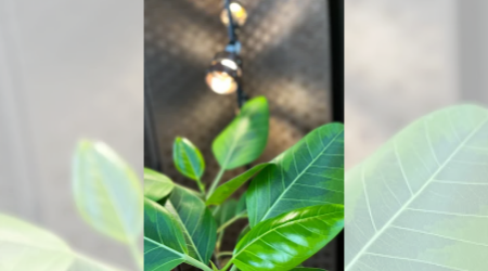 サウンドスパイラルのサブ写真２